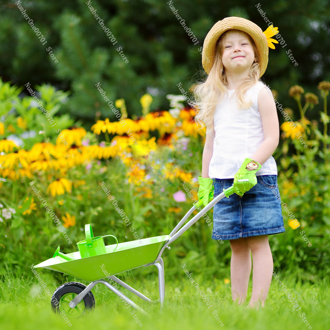 Kids Outdoor Wheelbarrow, Gree - đánh giá và giá Kids Outdoor Garden Set