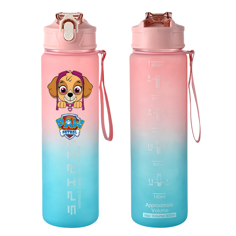 800ml PAW Patrol Sports Water  - đánh giá và giá Kids Outdoor Kitchen