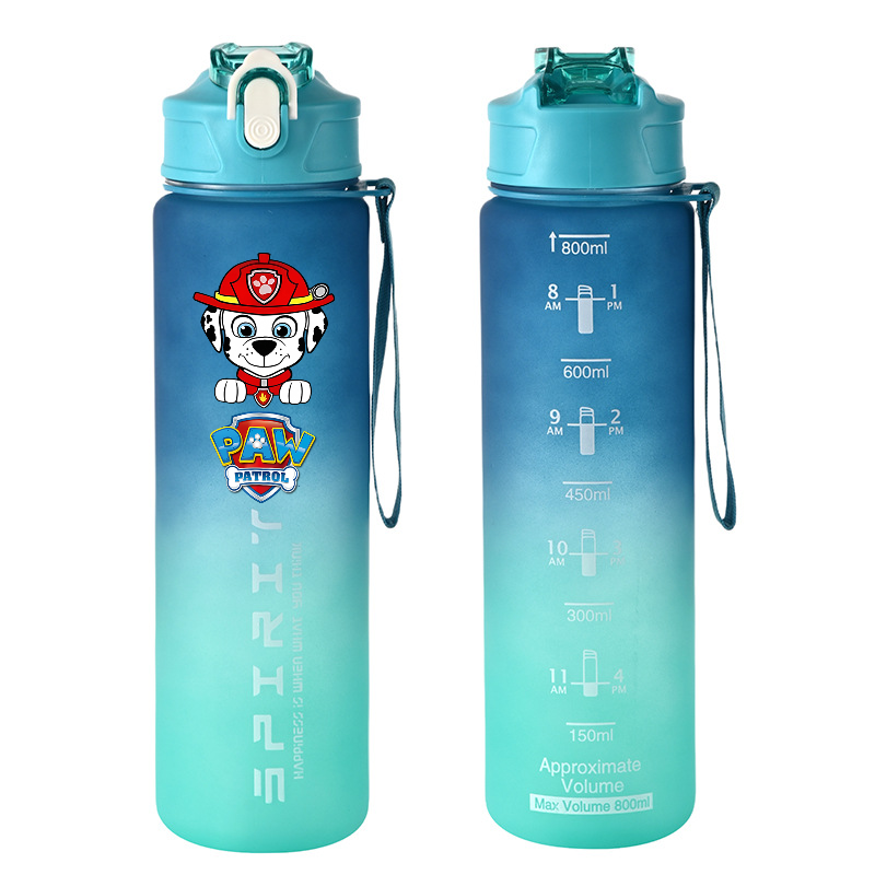 800ml PAW Patrol Sports Water  - đánh giá và giá Kids Outdoor Kitchen