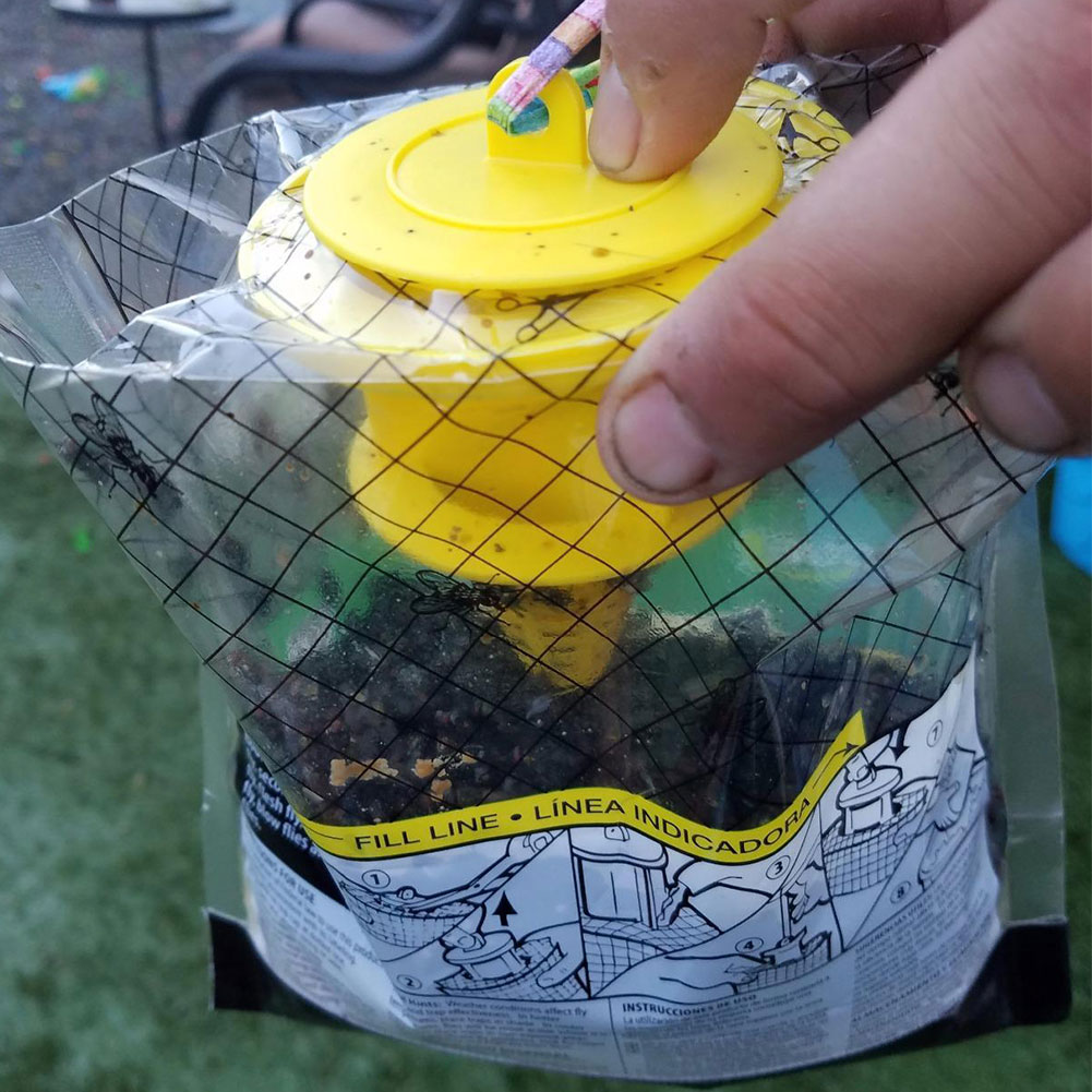 Hanging Fly Trap Bag with Fly  - đánh giá và giá Bug Catching Kit