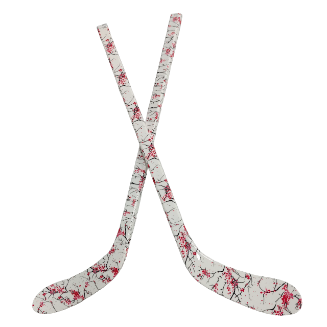 Kids Durable ABS Ice Hockey St - đánh giá và giá Kids Outdoor Hockey Sticks